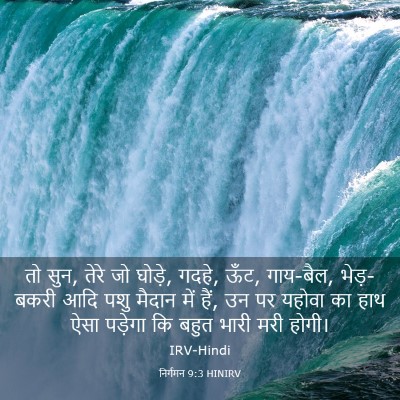 Picture 03 - निर्गमन 9:3 HINIRV - तो सुन, तेरे जो - Bible Verse Picture