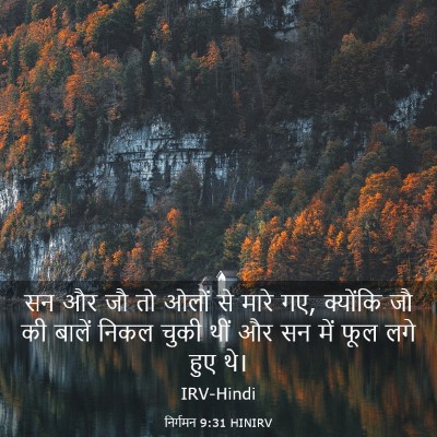 Picture 03 - निर्गमन 9:31 HINIRV - सन और जौ तो ओलों से - Bible Verse Picture