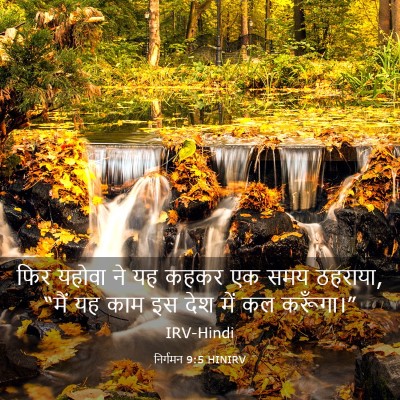 Picture 03 - निर्गमन 9:5 HINIRV - फिर यहोवा ने यह - Bible Verse Picture