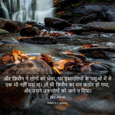 Picture 03 - निर्गमन 9:7 HINIRV - और फ़िरौन ने लोगों - Bible Verse Picture