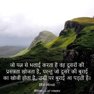 Picture 03 - नीतिवचन 11:27 HINIRV - जो यत्न से भलाई - Bible Verse Picture