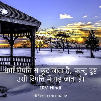 Picture 03 - नीतिवचन 11:8 HINIRV - धर्मी विपत्ति से - Bible Verse Picture