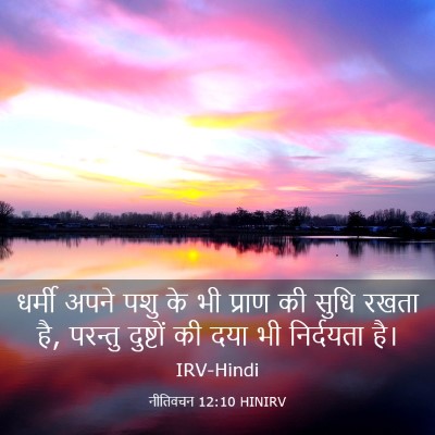Picture 03 - नीतिवचन 12:10 HINIRV - धर्मी अपने पशु के - Bible Verse Picture