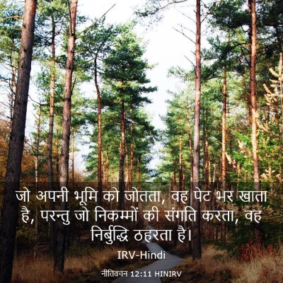 Picture 03 - नीतिवचन 12:11 HINIRV - जो अपनी भूमि को - Bible Verse Picture