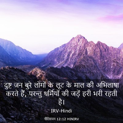 Picture 03 - नीतिवचन 12:12 HINIRV - दुष्ट जन बुरे - Bible Verse Picture