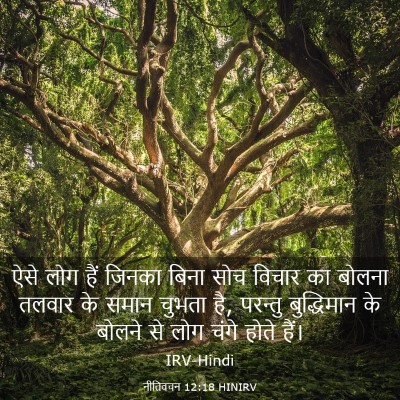 Picture 03 - नीतिवचन 12:18 HINIRV - ऐसे लोग हैं जिनका - Bible Verse Picture