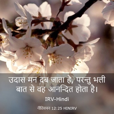 Picture 03 - नीतिवचन 12:25 HINIRV - उदास मन दब जाता है, - Bible Verse Picture