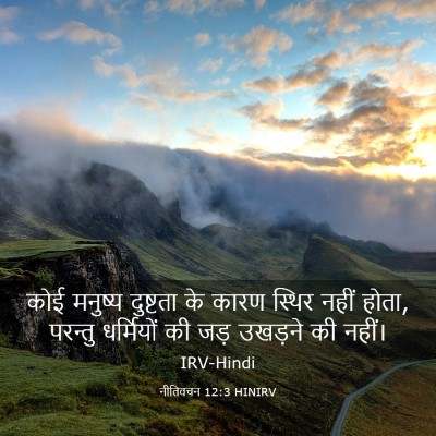 Picture 03 - नीतिवचन 12:3 HINIRV - कोई मनुष्य - Bible Verse Picture