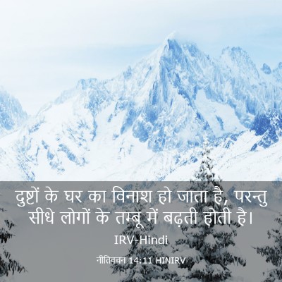 Picture 03 - नीतिवचन 14:11 HINIRV - दुष्टों के घर का - Bible Verse Picture