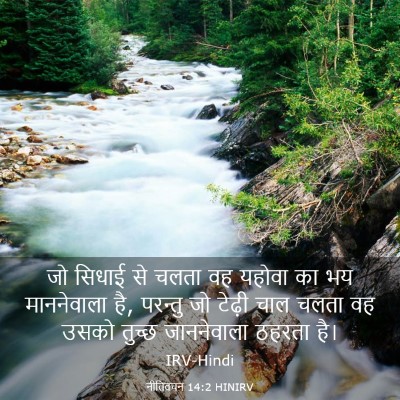 Picture 03 - नीतिवचन 14:2 HINIRV - जो सिधाई से चलता वह - Bible Verse Picture