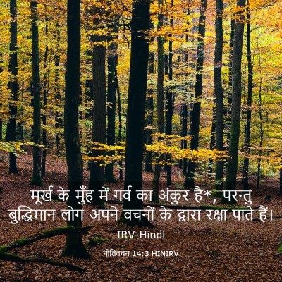 Picture 03 - नीतिवचन 14:3 HINIRV - मूर्ख के मुँह में - Bible Verse Picture