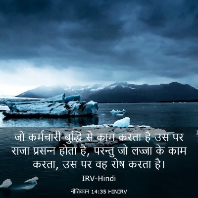 Picture 03 - नीतिवचन 14:35 HINIRV - जो कर्मचारी - Bible Verse Picture