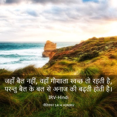 Picture 03 - नीतिवचन 14:4 HINIRV - जहाँ बैल नहीं, वहाँ - Bible Verse Picture