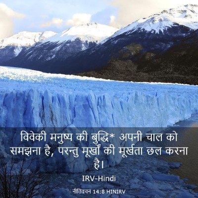 Picture 03 - नीतिवचन 14:8 HINIRV - विवेकी मनुष्य की - Bible Verse Picture