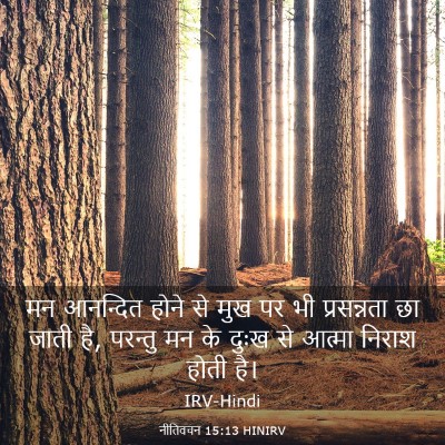 Picture 03 - नीतिवचन 15:13 HINIRV - मन आनन्दित होने से - Bible Verse Picture