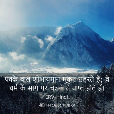 Picture 03 - नीतिवचन 16:31 HINIRV - पक्के बाल - Bible Verse Picture