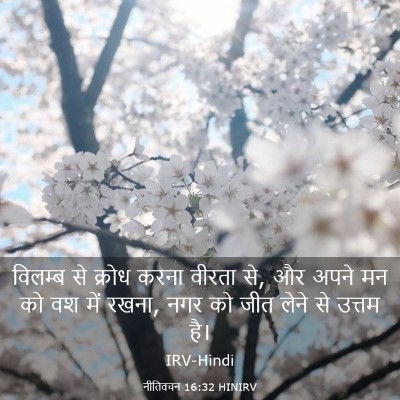 Picture 03 - नीतिवचन 16:32 HINIRV - विलम्ब से क्रोध - Bible Verse Picture