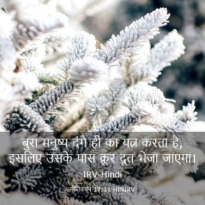 Picture 03 - नीतिवचन 17:11 HINIRV - बुरा मनुष्य दंगे - Bible Verse Picture