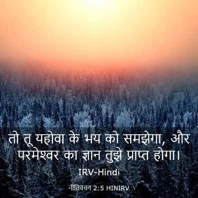 Picture 03 - नीतिवचन 2:5 HINIRV - तो तू यहोवा के भय - Bible Verse Picture