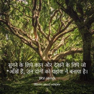 Picture 03 - नीतिवचन 20:12 HINIRV - सुनने के लिये कान - Bible Verse Picture
