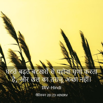 Picture 03 - नीतिवचन 20:23 HINIRV - घटते बढ़ते बटखरों - Bible Verse Picture