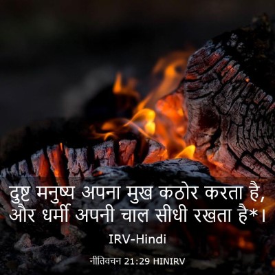 Picture 03 - नीतिवचन 21:29 HINIRV - दुष्ट मनुष्य अपना - Bible Verse Picture