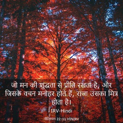 Picture 03 - नीतिवचन 22:11 HINIRV - जो मन की शुद्धता से - Bible Verse Picture