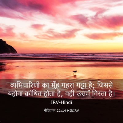 Picture 03 - नीतिवचन 22:14 HINIRV - व्यभिचारिणी का - Bible Verse Picture