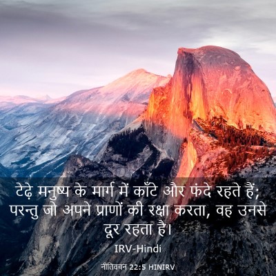 Picture 03 - नीतिवचन 22:5 HINIRV - टेढ़े मनुष्य के - Bible Verse Picture