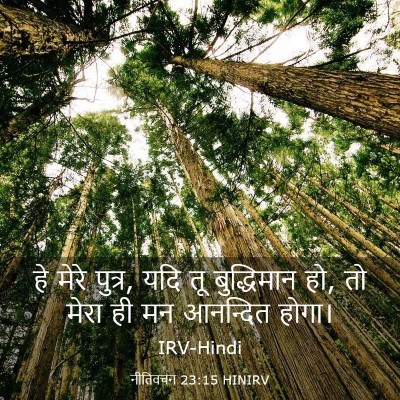 Picture 03 - नीतिवचन 23:15 HINIRV - हे मेरे पुत्र, यदि - Bible Verse Picture