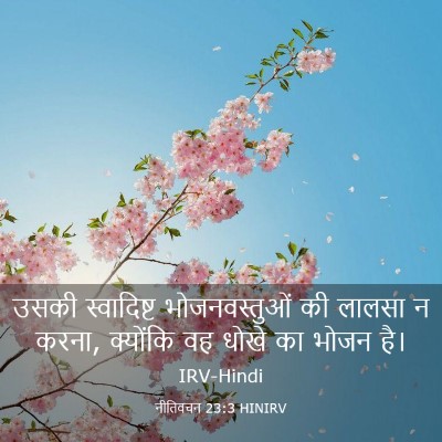 Picture 03 - नीतिवचन 23:3 HINIRV - उसकी स्वादिष्ट - Bible Verse Picture