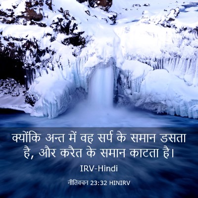 Picture 03 - नीतिवचन 23:32 HINIRV - क्योंकि अन्त में - Bible Verse Picture