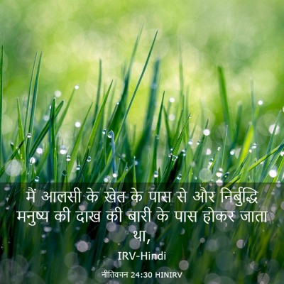 Picture 03 - नीतिवचन 24:30 HINIRV - मैं आलसी के खेत के - Bible Verse Picture