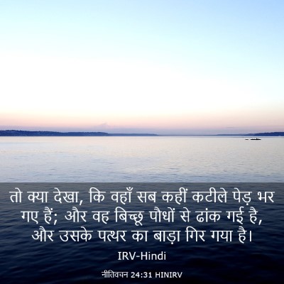 Picture 03 - नीतिवचन 24:31 HINIRV - तो क्या देखा, कि - Bible Verse Picture