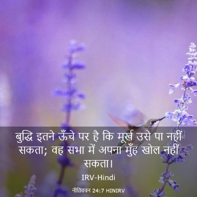 Picture 03 - नीतिवचन 24:7 HINIRV - बुद्धि इतने ऊँचे - Bible Verse Picture