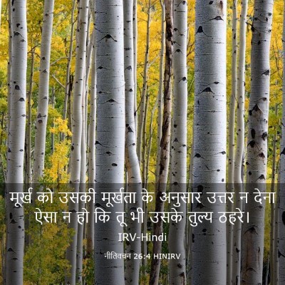 Picture 03 - नीतिवचन 26:4 HINIRV - मूर्ख को उसकी - Bible Verse Picture