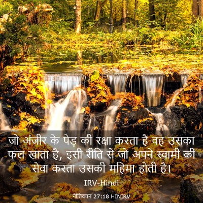 Picture 03 - नीतिवचन 27:18 HINIRV - जो अंजीर के पेड़ की - Bible Verse Picture