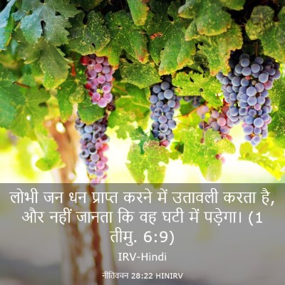 Picture 03 - नीतिवचन 28:22 HINIRV - लोभी जन धन प्राप्त - Bible Verse Picture