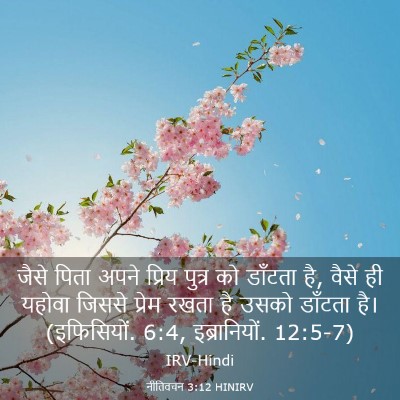 Picture 03 - नीतिवचन 3:12 HINIRV - जैसे पिता अपने - Bible Verse Picture