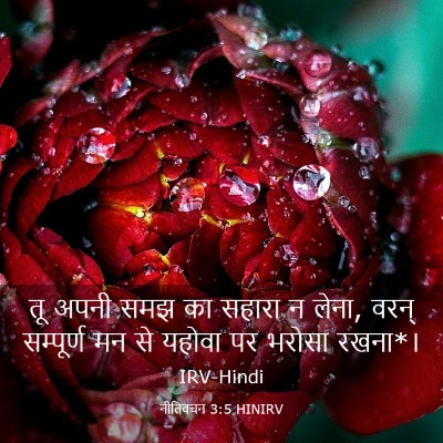 Picture 03 - नीतिवचन 3:5 HINIRV - तू अपनी समझ का - Bible Verse Picture