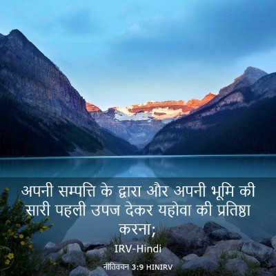 Picture 03 - नीतिवचन 3:9 HINIRV - अपनी सम्पत्ति के - Bible Verse Picture