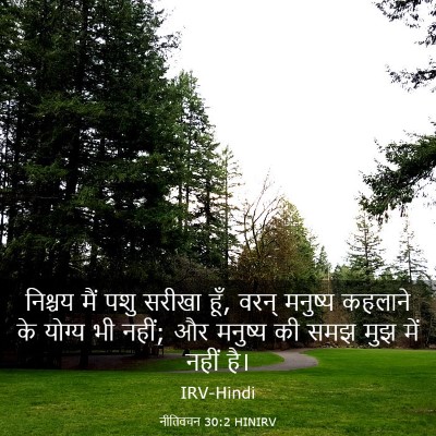 Picture 03 - नीतिवचन 30:2 HINIRV - निश्चय मैं पशु - Bible Verse Picture