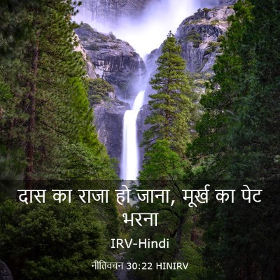 Picture 03 - नीतिवचन 30:22 HINIRV - दास का राजा हो - Bible Verse Picture