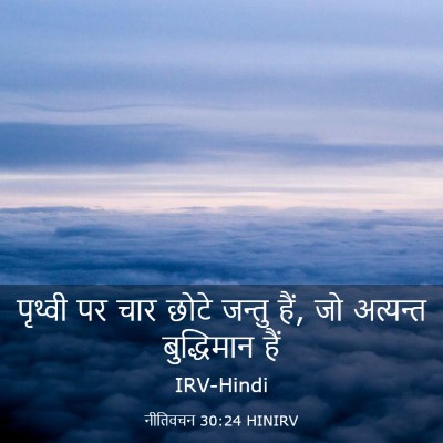 Picture 03 - नीतिवचन 30:24 HINIRV - पृथ्वी पर चार छोटे - Bible Verse Picture