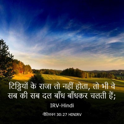 Picture 03 - नीतिवचन 30:27 HINIRV - टिड्डियों के राजा - Bible Verse Picture