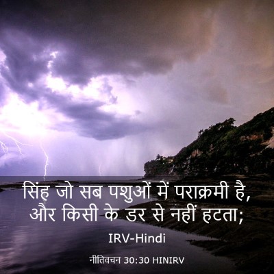 Picture 03 - नीतिवचन 30:30 HINIRV - सिंह जो सब पशुओं - Bible Verse Picture