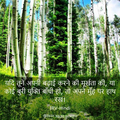Picture 03 - नीतिवचन 30:32 HINIRV - यदि तूने अपनी - Bible Verse Picture