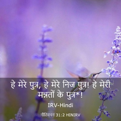 Picture 03 - नीतिवचन 31:2 HINIRV - हे मेरे पुत्र, हे - Bible Verse Picture