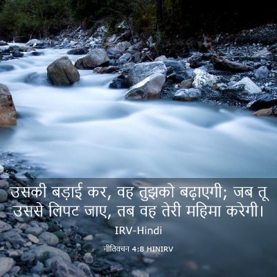 Picture 03 - नीतिवचन 4:8 HINIRV - उसकी बड़ाई कर, वह - Bible Verse Picture