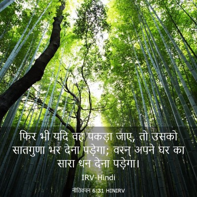 Picture 03 - नीतिवचन 6:31 HINIRV - फिर भी यदि वह पकड़ा - Bible Verse Picture
